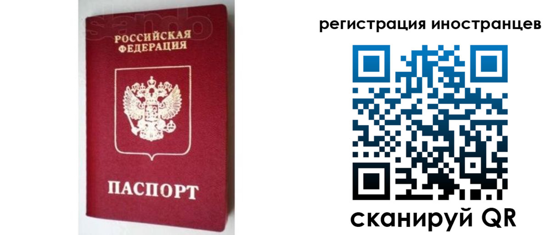 прописка для работы в Ржеве